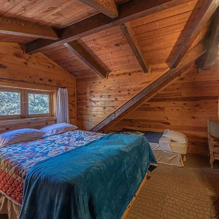 Forest Cabin 3 Bear'S Den ペイソン エクステリア 写真