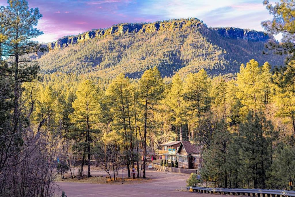 Forest Cabin 3 Bear'S Den ペイソン エクステリア 写真